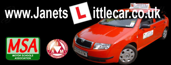 Janet's Little Car Logo